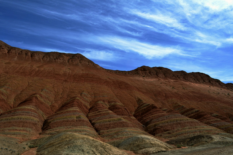dsc_0782.jpg