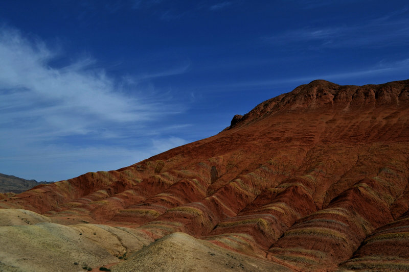 dsc_0787.jpg
