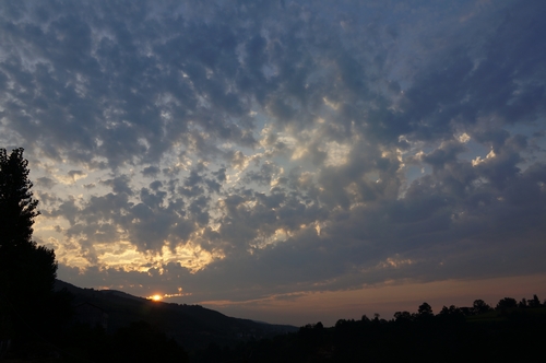 neo_img_dsc04172.jpg