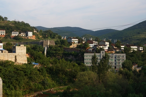 neo_img_dsc04254.jpg