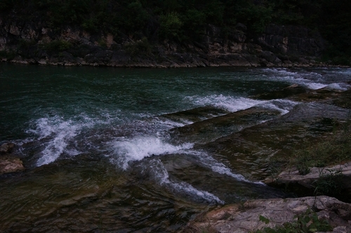 neo_img_dsc03580.jpg