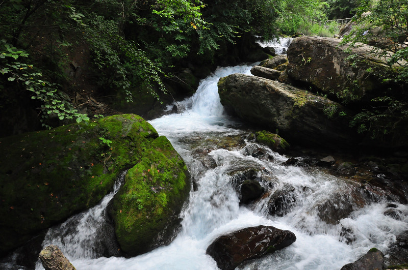 dsc_0164.jpg