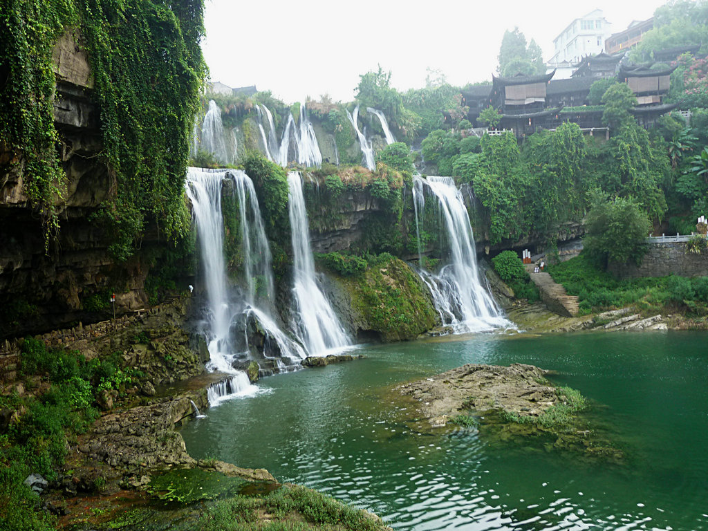 p1100517 - .jpg