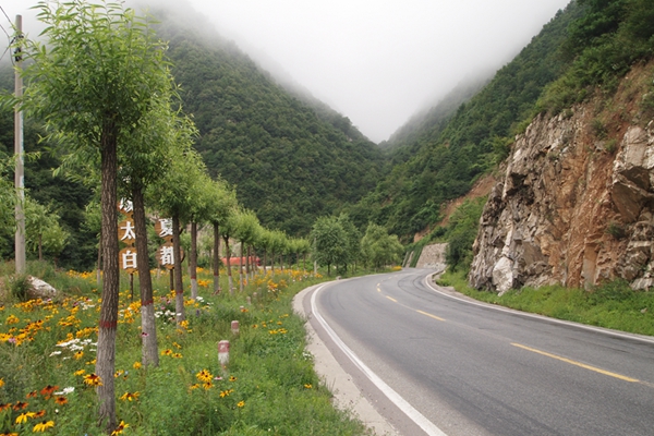 p8020544.jpg
