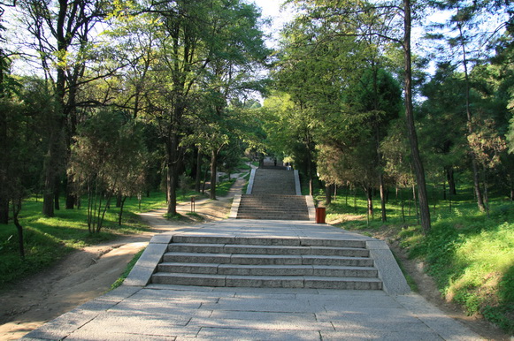 2378.jpg