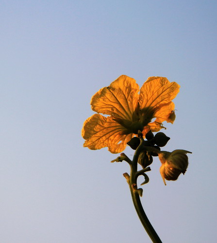img_1855_СС.jpg