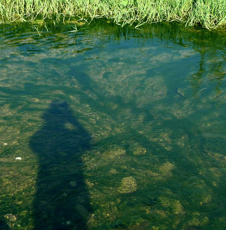 p1170532_.jpg