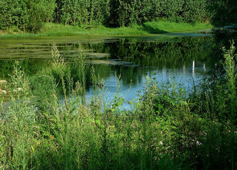 p1170539_.jpg