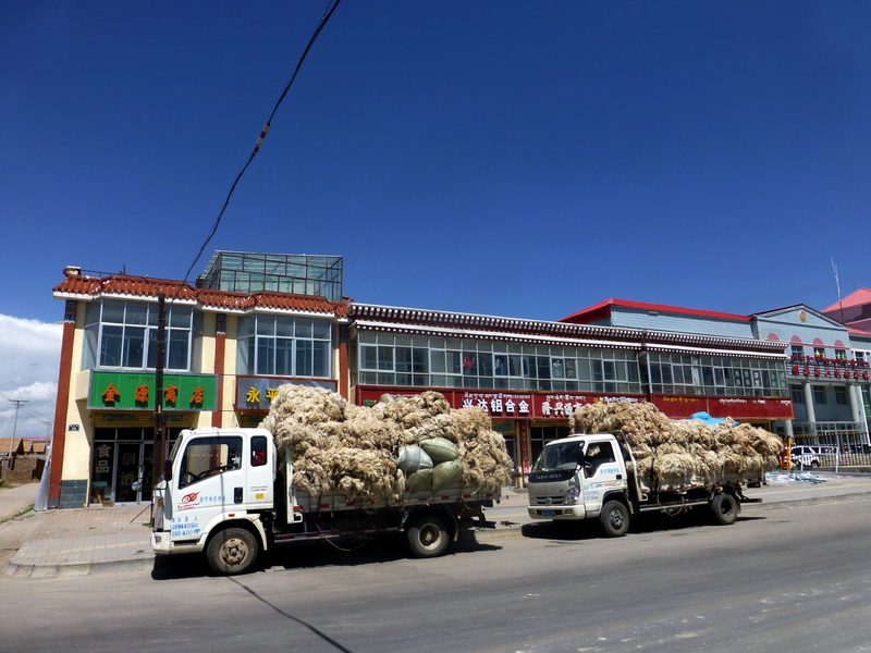 p1100550.jpg