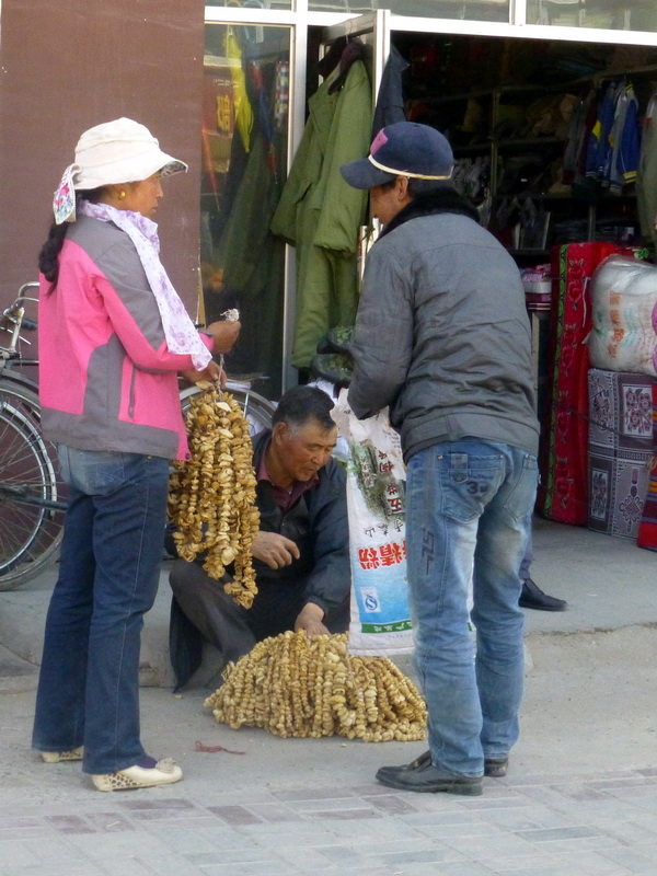 p1100557.jpg