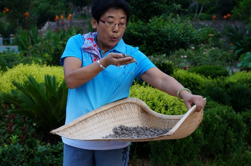 neo_img_dsc04490.jpg