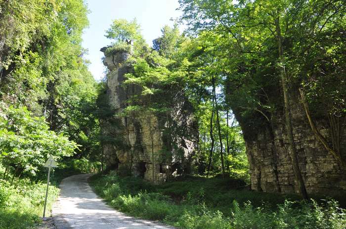 dsc_0656.jpg