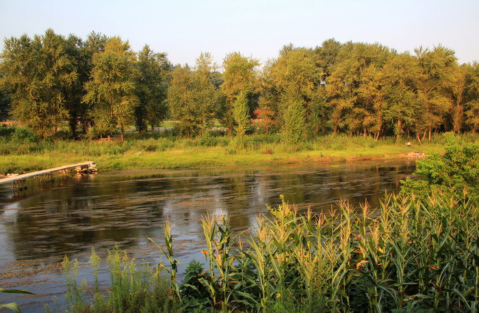 img_1874_СС.jpg