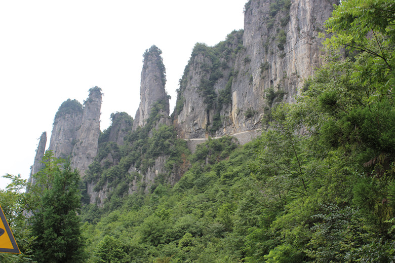 img_2772_.jpg