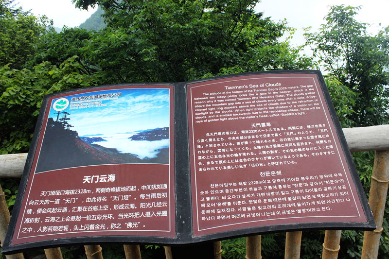 img_8121.jpg