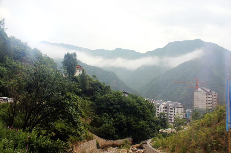 img_8017.jpg