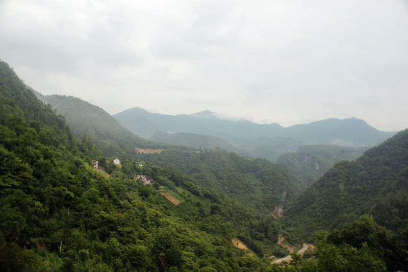 img_8021.jpg