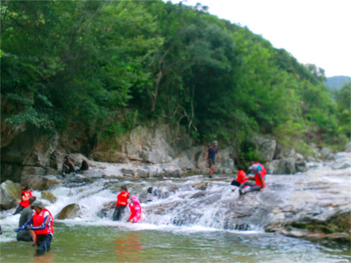 file0560.jpg