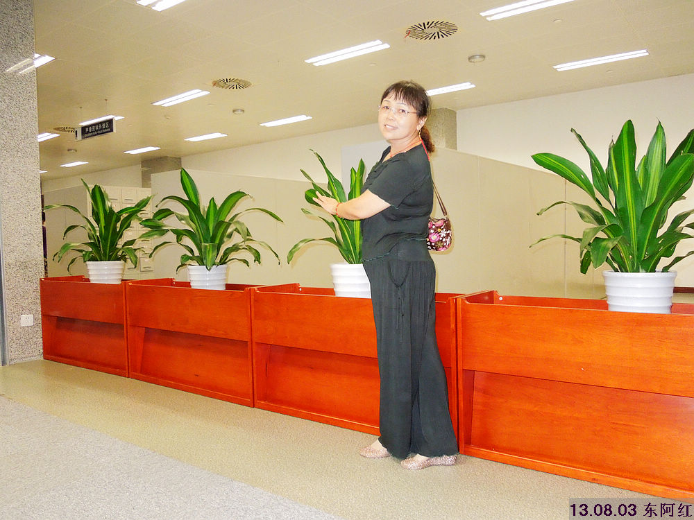 dscn5522.jpg