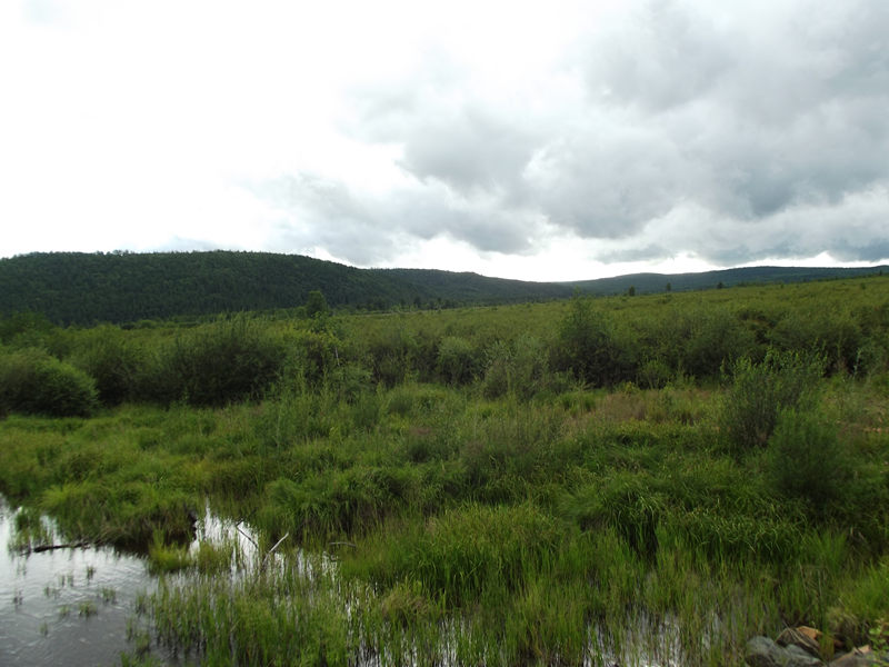 dscf2957_.jpg