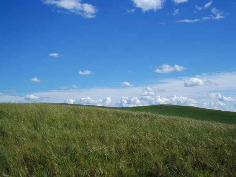 dscf3613_.jpg