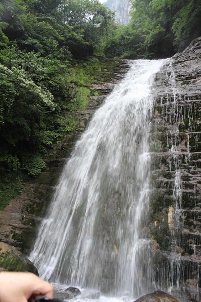 img_2672_.jpg