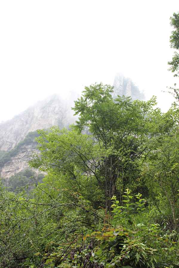 img_2683_.jpg