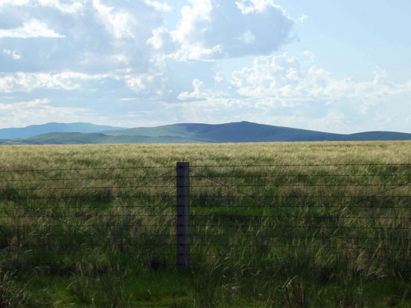 dscf3644_.jpg