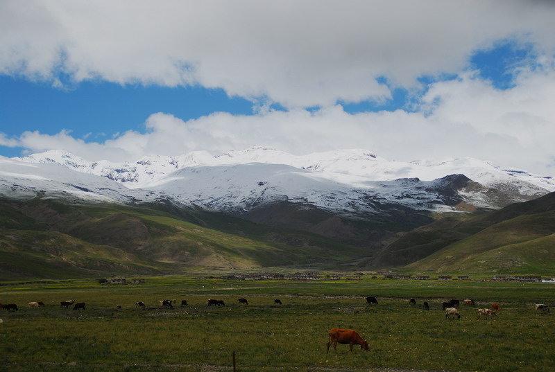 dsc_6646.jpg