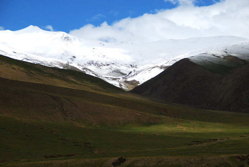 dsc_6665.jpg