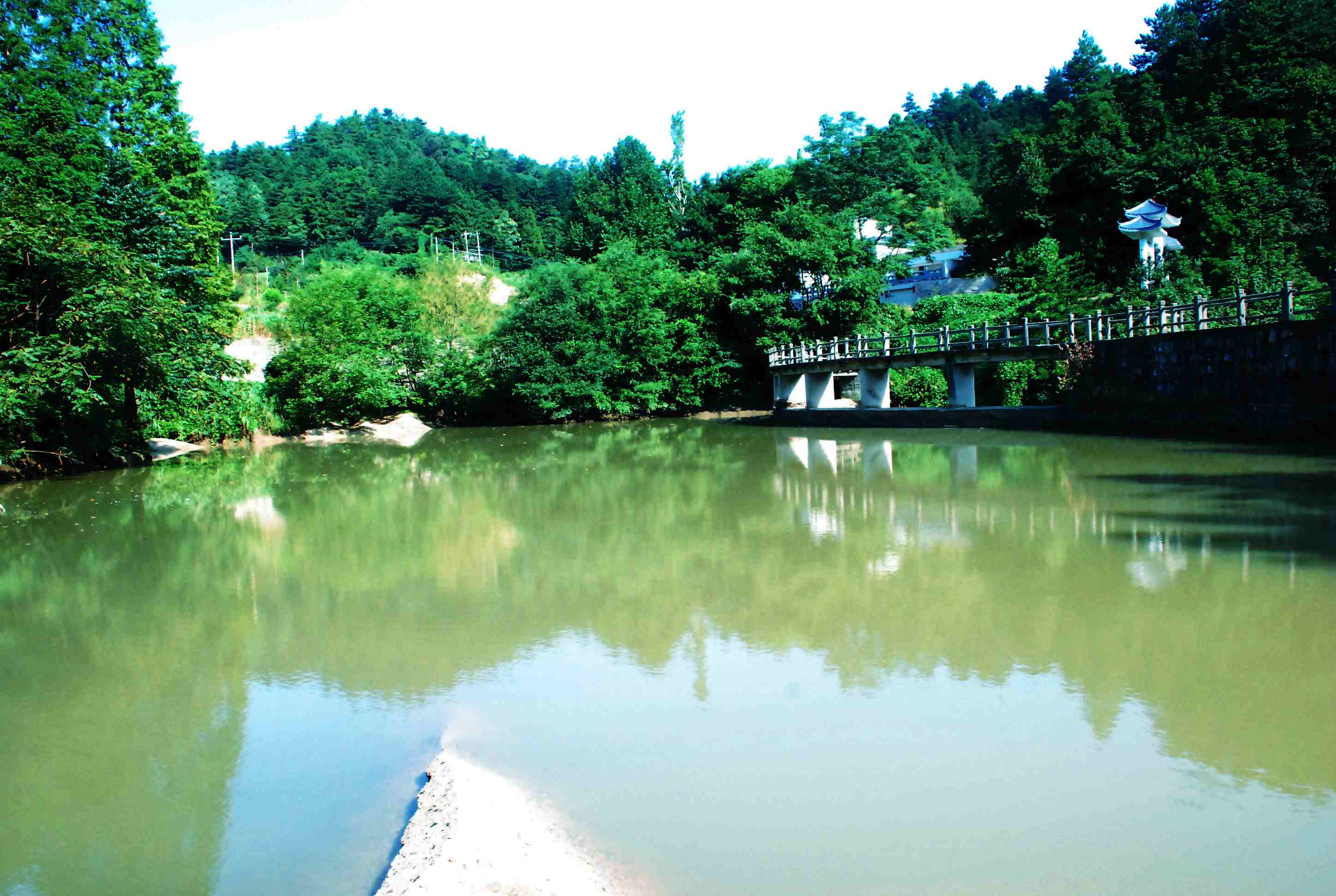 img004.jpg