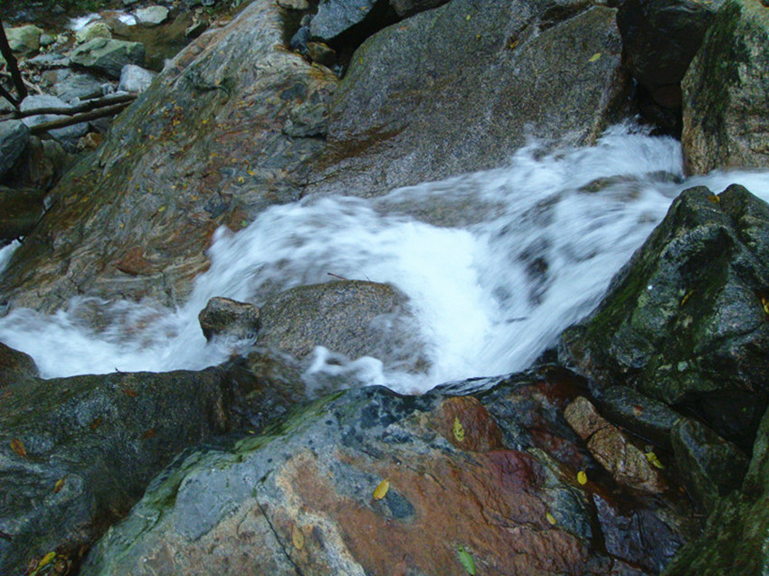 dsc01006__.jpg