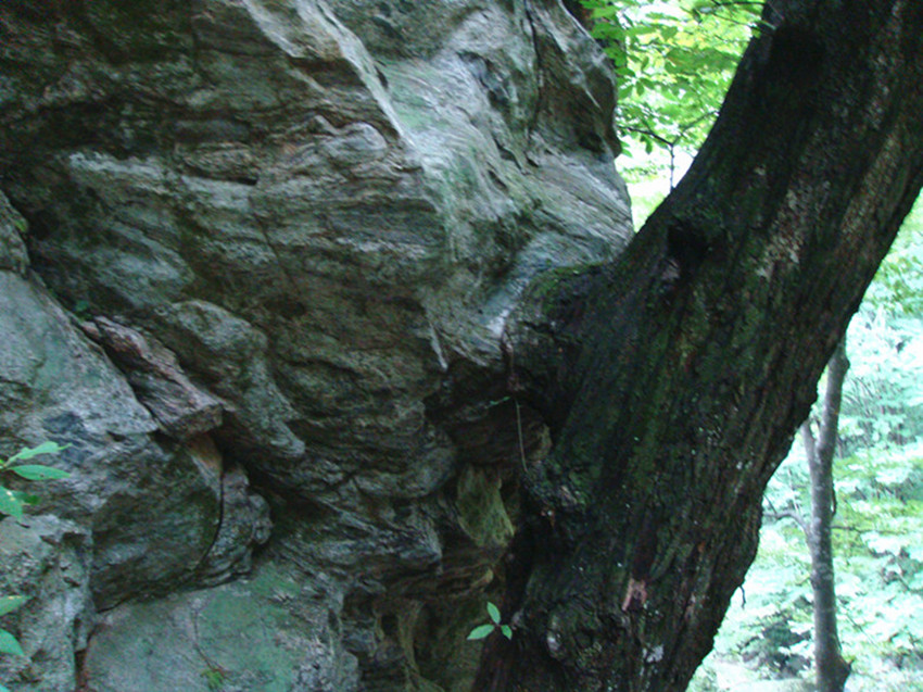 dsc00982__.jpg