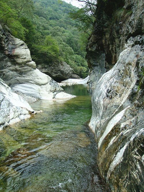 dsc01068__.jpg