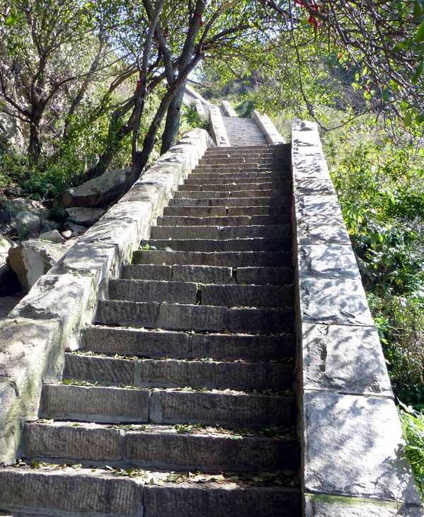 p1110837.jpg