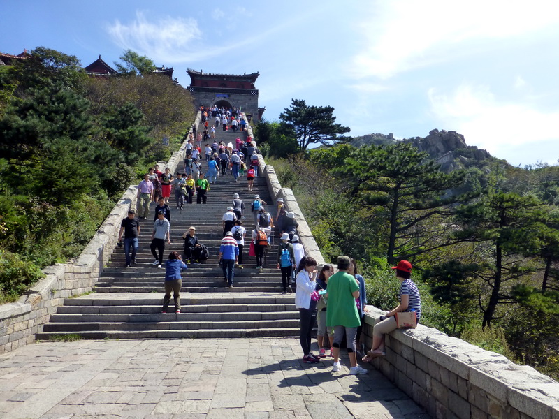 p1110845.jpg