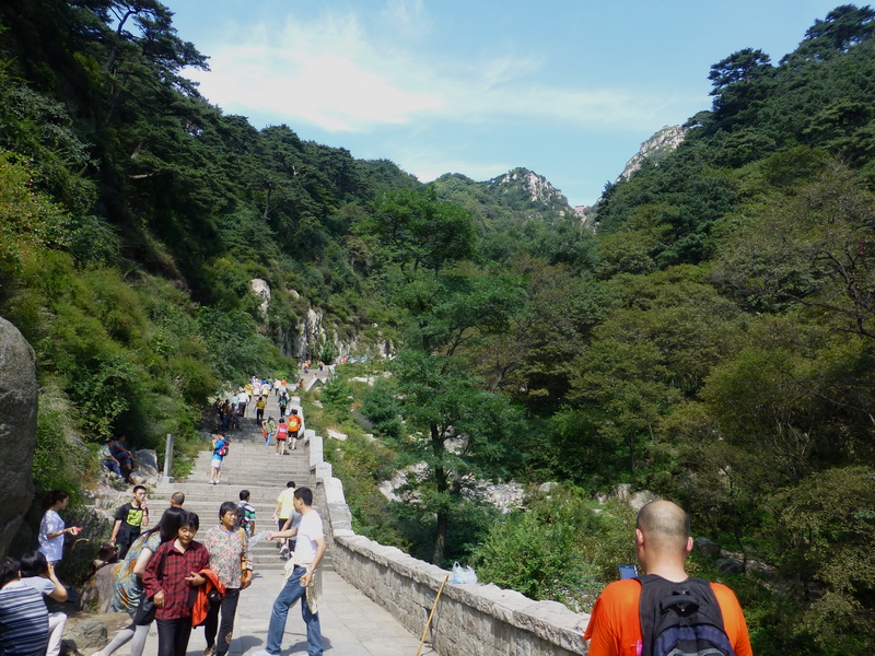 p1110817.jpg
