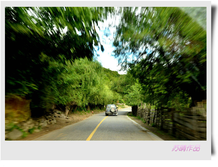 _dsc8994_.jpg