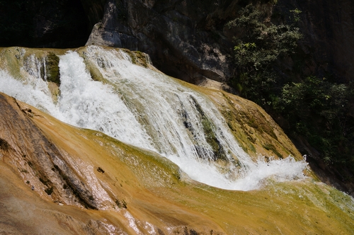 neo_img_dsc04668.jpg