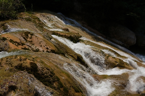 neo_img_dsc04650.jpg