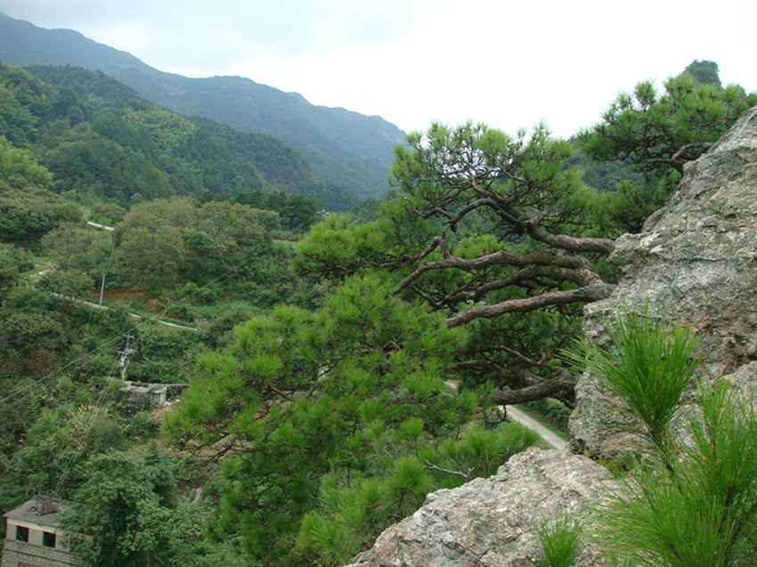 dsc00901_.jpg