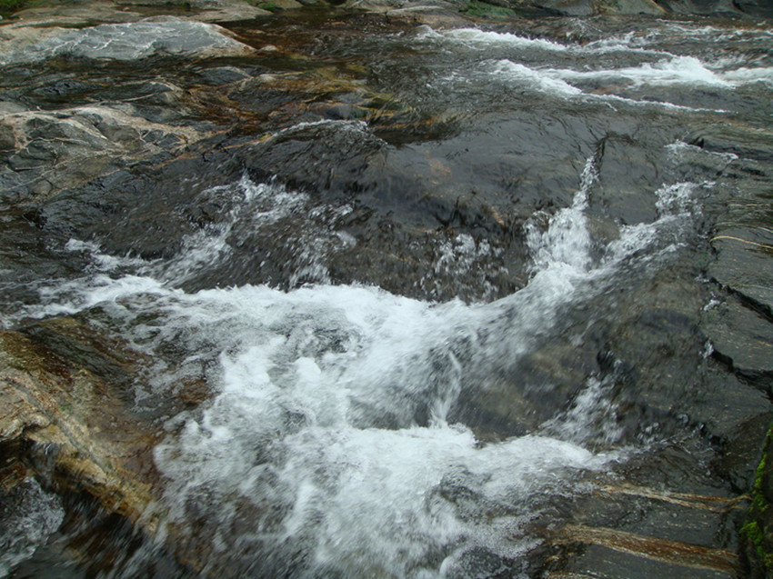 dsc01032_.jpg