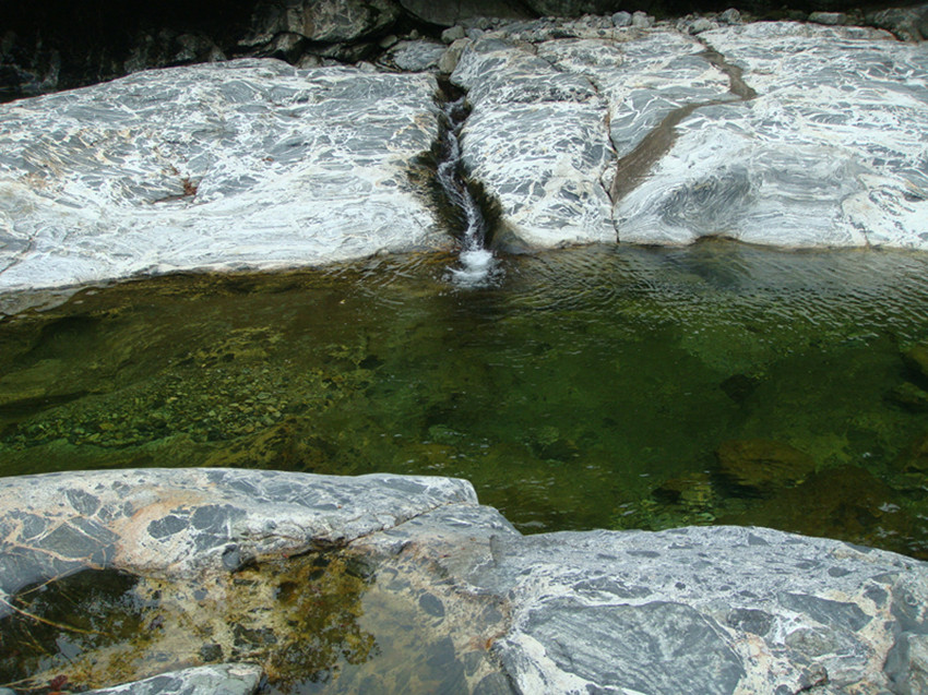dsc01065_.jpg