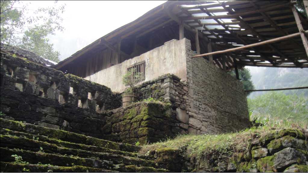 65.jpg