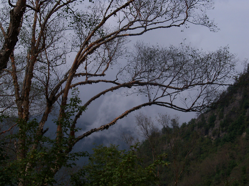 100_2815_.jpg