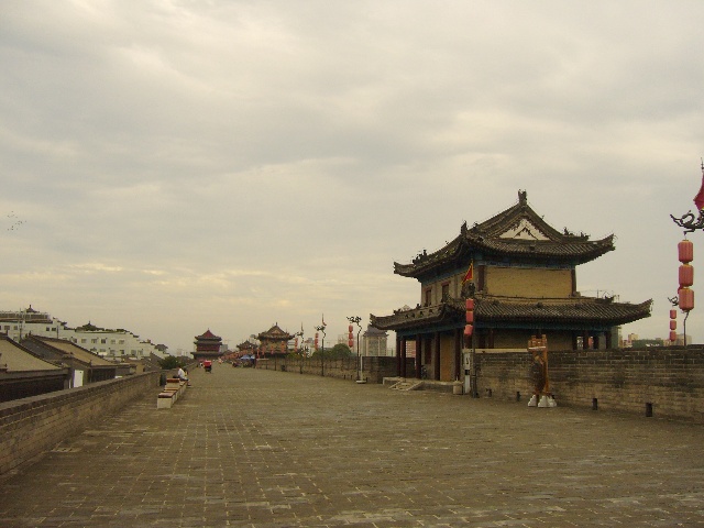 123f9508623g214.jpg