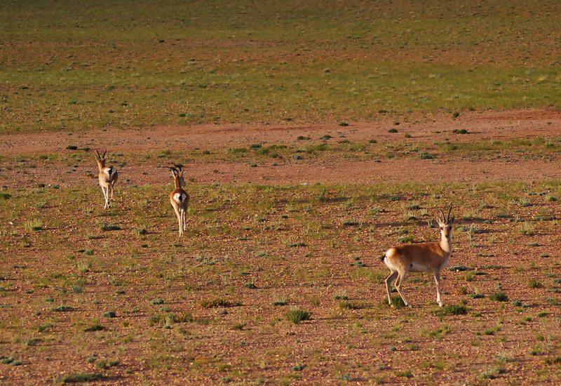 dsc_9029.jpg