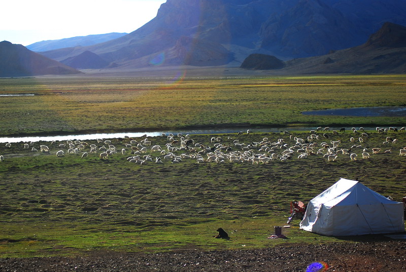 dsc_9040.jpg