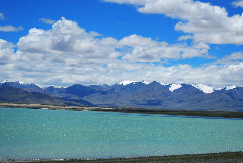 dsc_9113.jpg
