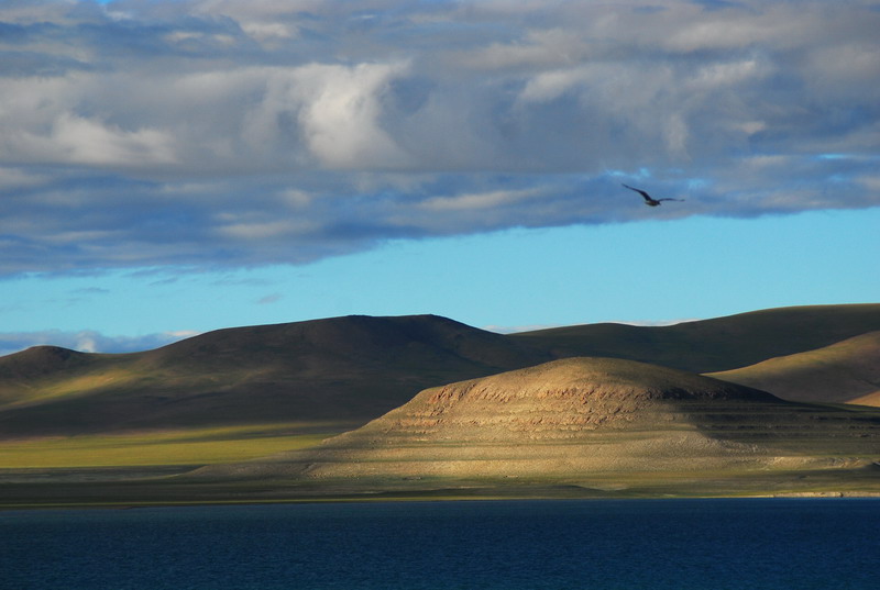 dsc_9229.jpg